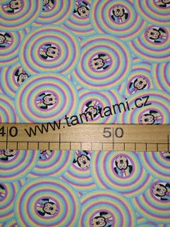 plátno Minnie v duhovém kolečku
