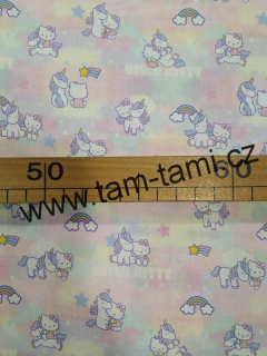 plátno Hello Kitty - digitální tisk